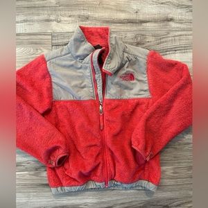 The north face Denali